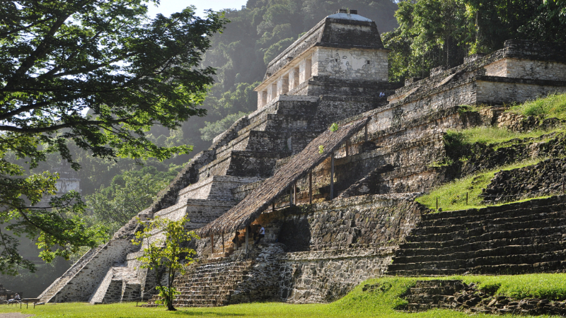 Palenque Architecture, Terraced Architecture