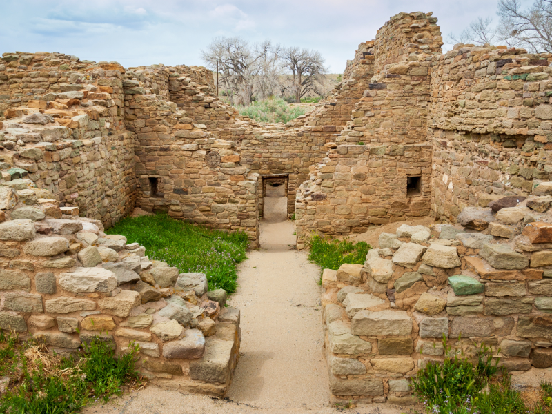 "Ruins of the Aztec Ruins National Monument in New Mexico, featuring ancestral Puebloan structures made of sandstone blocks, including a Great Kiva and multi-story buildings, surrounded by grass and trees."